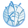 Dunes of Panama Vacation Rentals Logo