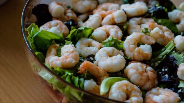 shrimp salad