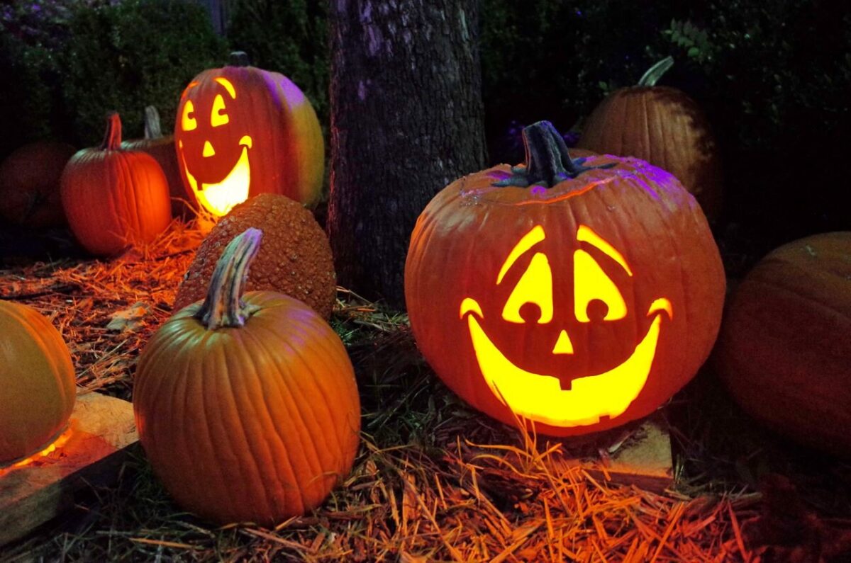 jack o lantern