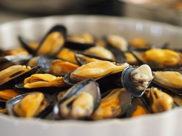 muscles