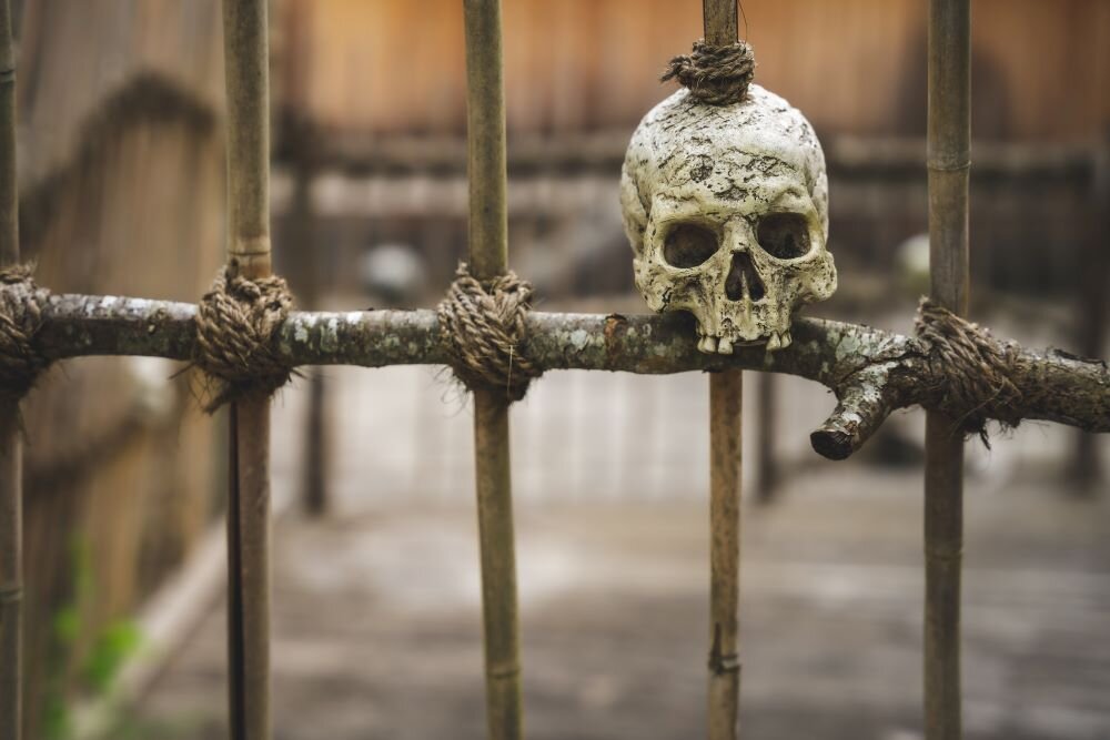 Skull on fence post