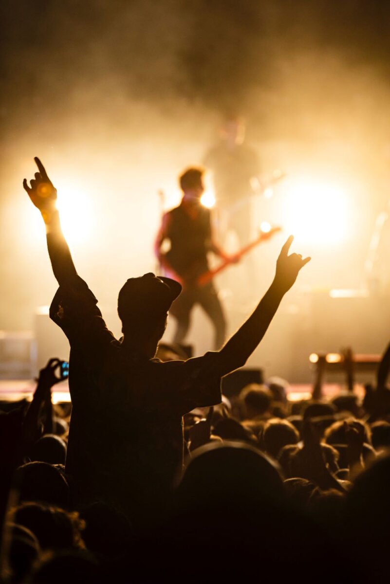 person enjoying a concert
