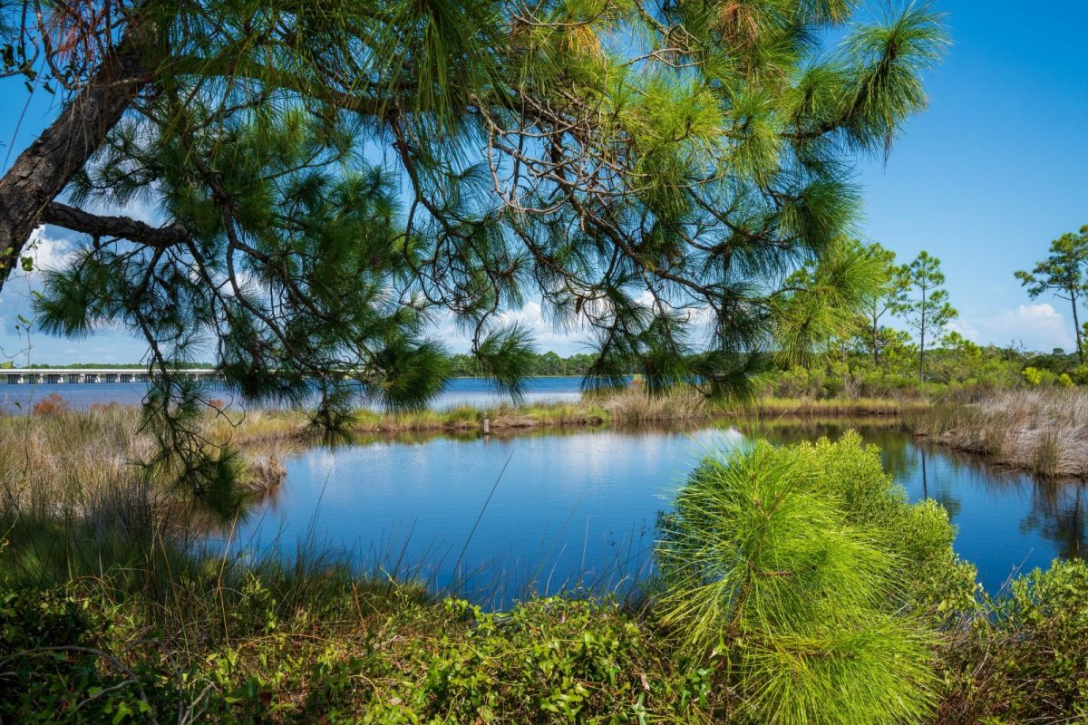 Lake Powell in Panama City Beach