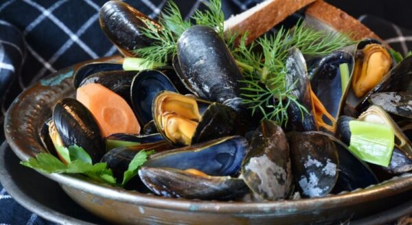 mussels on a bowl